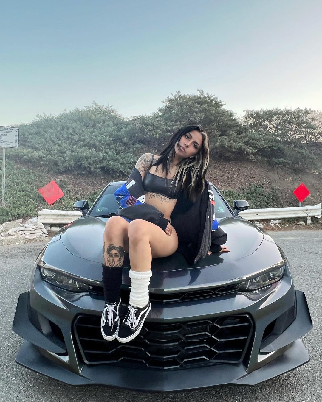 vlogigurl car